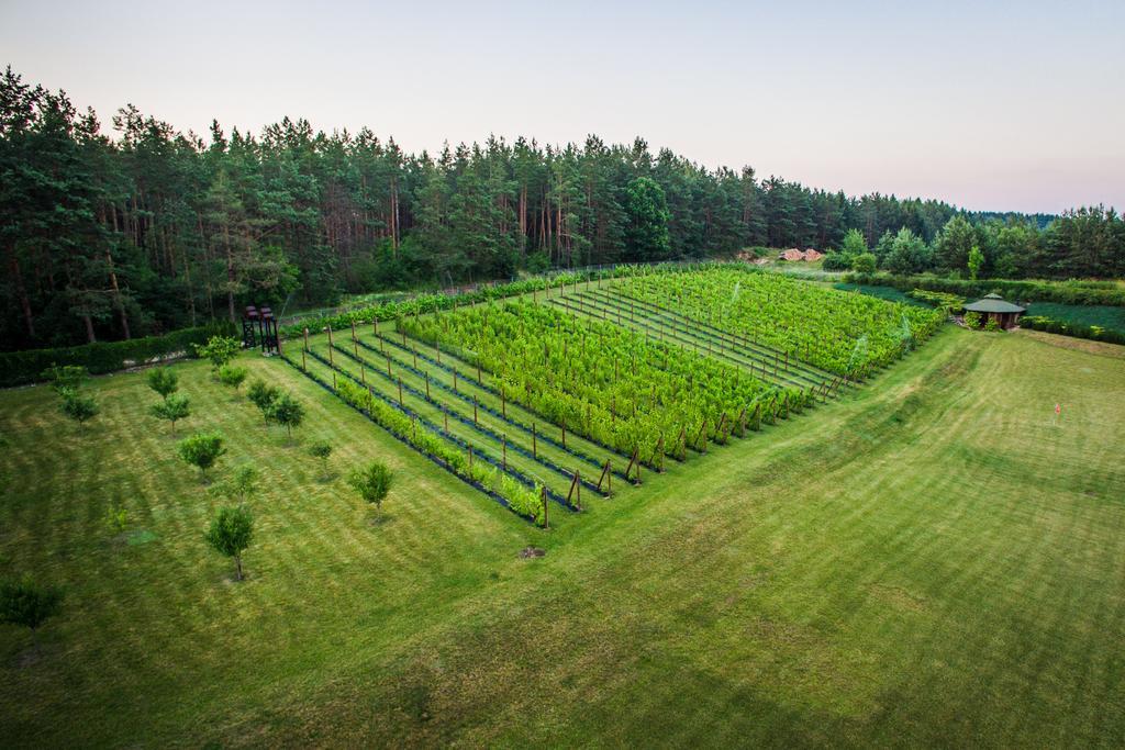 Warminska Winnica Barczewo Exteriér fotografie