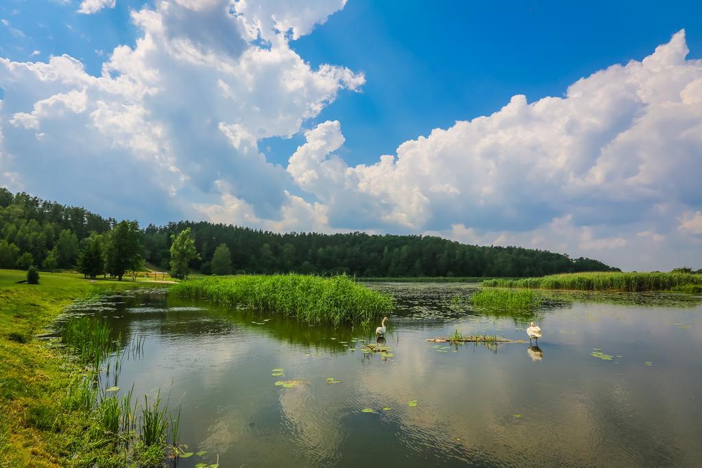 Warminska Winnica Barczewo Exteriér fotografie